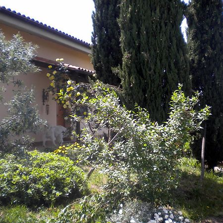 Le Tre Querce Panzió Fiano Romano Kültér fotó