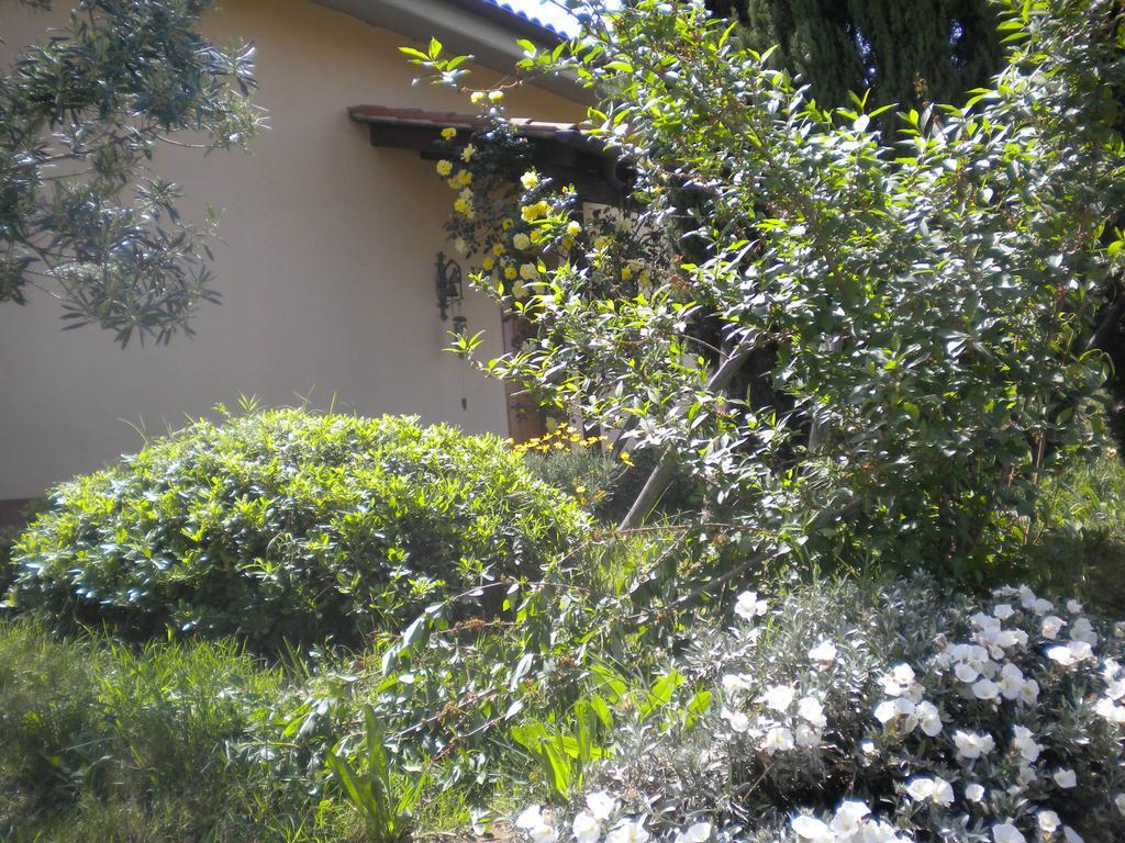 Le Tre Querce Panzió Fiano Romano Kültér fotó