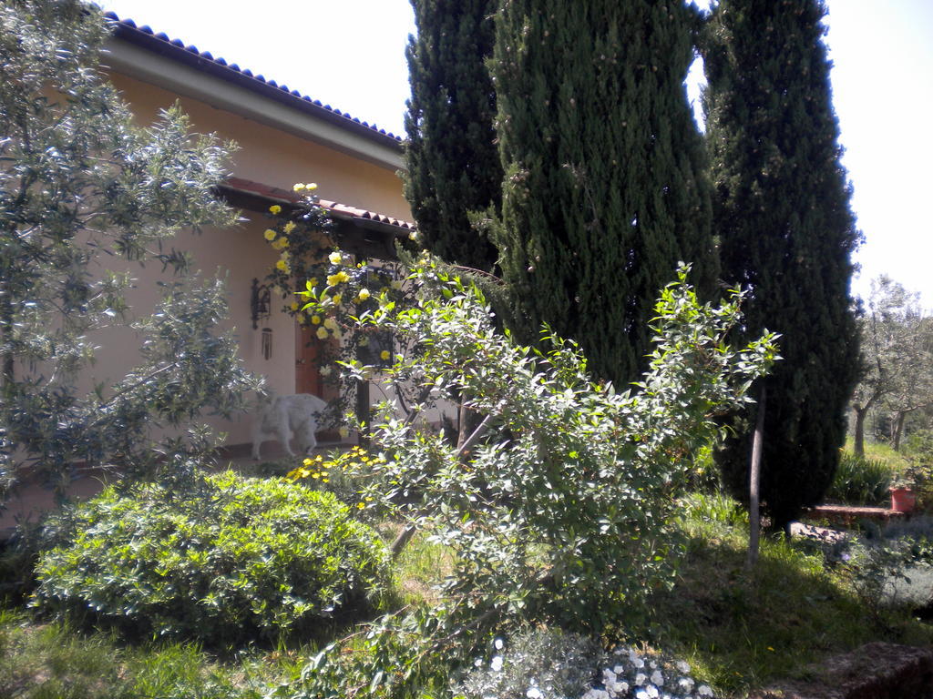Le Tre Querce Panzió Fiano Romano Kültér fotó